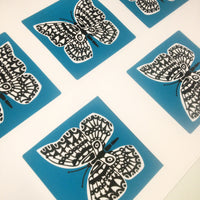 Studio Visit: Screen Printing my Butterfly Print Collection