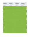 Vibrant Kiwifruit pattern print in Pantone's Colour of the Year 2017, Greenery. This zesty Scandinavian style fruit print will bring a fresh vibe to your home.